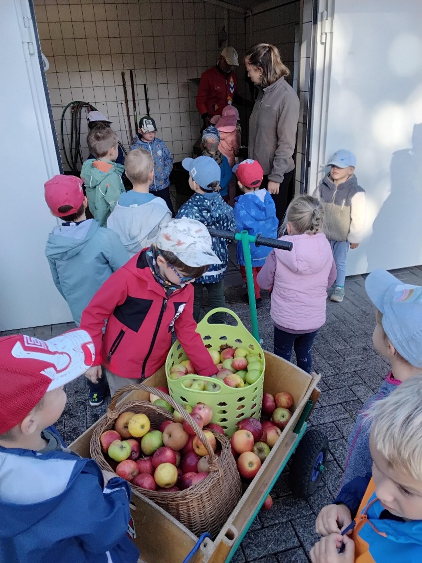 Von der Obstbaumwiese ins Saftglas – Kindergartenkinder keltern frischen Apfelsaft