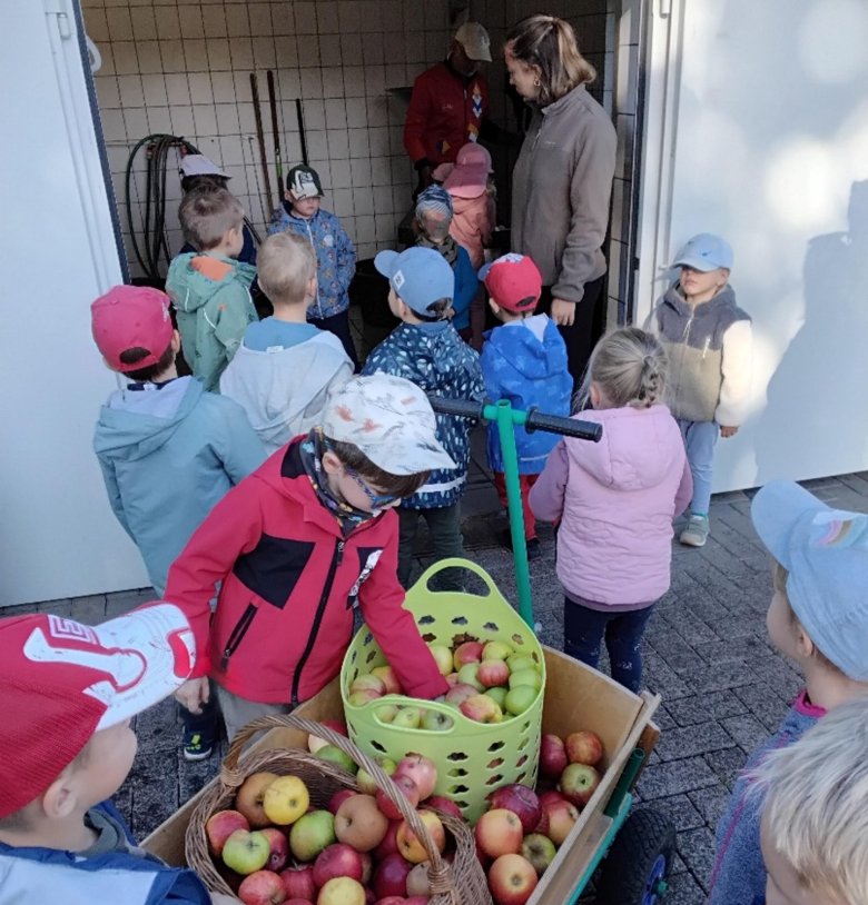 Von der Obstbaumwiese ins Saftglas – Kindergartenkinder keltern frischen Apfelsaft